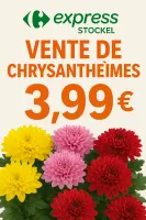 🌼 Vente de chrysanthèmes au Carrefour Express Stockel 🌼